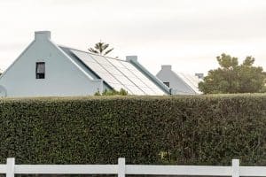 Green plants fence with solar panels installed on rooftop of houses in background against clear sky. Copy space, nature, protection, building, solar energy, electricity, sustainability.